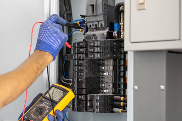 Best Electrical Panel Upgrades  in Progreso, TX